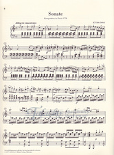 Piano Sonata a minor K. 310 (300d)